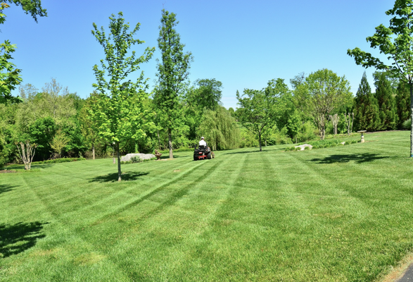 Lawn Care Services - Transform Your Outdoor Space with WeDoItTheBest Landscaping!
Looking for unbeatable lawn care in East Point, GA, and the greater Atlanta area? Look no further! At WeDoItTheBest Landscaping, we deliver professional, reliable, and top-quality services to make your yard the envy of the neighborhood.
Whether you need expert mowing, fresh mulch, precise tree pruning and removal, custom planter box installation, crisp edging, paver installation, pressure washing, drainage solutions, or more—we do it all! Our dedicated team brings out the best in your property with attention to detail, creativity, and care.
Let us handle the hard work while you enjoy a beautiful, worry-free outdoor space. Contact us today for your free estimate and discover why we’re Atlanta’s go-to landscaping experts! Lawn Care Services - Transform Your Outdoor Space with WeDoItTheBest Landscaping!
Looking for unbeatable lawn care in East Point, GA, and the greater Atlanta area? Look no further! At WeDoItTheBest Landscaping, we deliver professional, reliable, and top-quality services to make your yard the envy of the neighborhood.
Whether you need expert mowing, fresh mulch, precise tree pruning and removal, custom planter box installation, crisp edging, paver installation, pressure washing, drainage solutions, or more—we do it all! Our dedicated team brings out the best in your property with attention to detail, creativity, and care.
Let us handle the hard work while you enjoy a beautiful, worry-free outdoor space. Contact us today for your free estimate and discover why we’re Atlanta’s go-to landscaping experts!