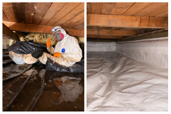 Crawl Space Encapsulation - This home had 3 inches of standing water under it when we arrived.  After installing a drainage system with sump pump and battery backup, the crawl space was fully encapsulated with a ultra durable liner, rim joists were insulated and sealed (not in picture), floor penetrations were filled, a dehumidifier installed, new crawl door created, and rodents were excluded.  This is now a fully clean and protected space, giving a whole new life to this home.