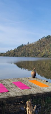 Private retreat for 1 in Canada - Best Life-ing on a beautiful private retreat experience in Canada! A week of pure love and magic! Our retreats are all custom designed and we work with you to curate the perfect experience for your intention. Any location, duration & within your budget!