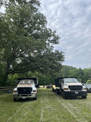 Tree cutting - tree removal and tree cutting call for quote 8042489106