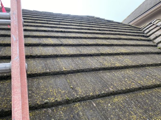 Tile cleaning - Customer called to get pressure washing services done on his roof that it can look amazing again! Tile cleaning - Customer called to get pressure washing services done on his roof that it can look amazing again!