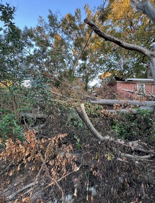 Storm debris cleanup - Today, we tackled this storm debris cleanup. Our customer experienced significant damage when several large trees fell on their property, impacting their house. Understanding the urgency, we provided swift and efficient service so they can work on getting their roof repaired and prevent further water damage.
Call 8642566500 and schedule a free consultation Storm debris cleanup - Today, we tackled this storm debris cleanup. Our customer experienced significant damage when several large trees fell on their property, impacting their house. Understanding the urgency, we provided swift and efficient service so they can work on getting their roof repaired and prevent further water damage.
Call 8642566500 and schedule a free consultation