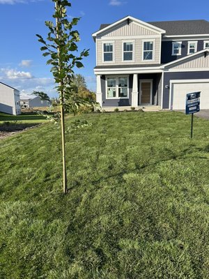 Landscaping/Tree work - Landscaping/Tree removal