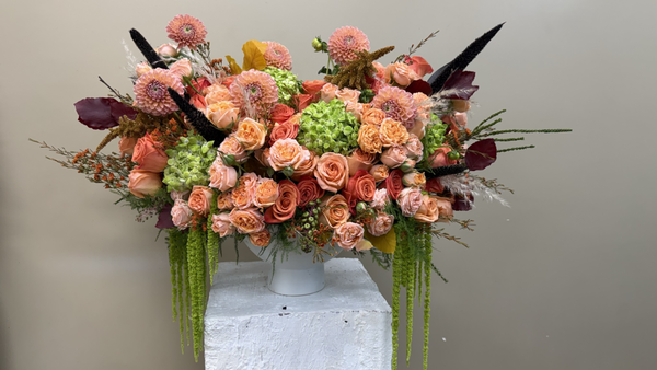 Arrangements - Ready-to-display arrangements in beautiful vessels, bringing instant elegance to any space