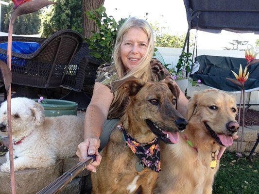 Dog Boarding - These three were so much fun boarding with me for a week. Dog Boarding - These three were so much fun boarding with me for a week.