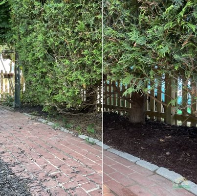 Mulching & Yard Cleanups - Got this gorgeous property looking fresh for its upcoming party! We pulled all the weeds, added a fresh layer of mulch, and cleaned everything up when we were done. Mulching & Yard Cleanups - Got this gorgeous property looking fresh for its upcoming party! We pulled all the weeds, added a fresh layer of mulch, and cleaned everything up when we were done.