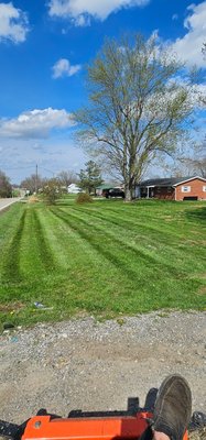 Lawn Maintenance - Keep your yard looking its best year-round with our comprehensive lawn maintenance services. We provide regular mowing, edging, trimming, fertilization, weed control, and seasonal clean-up, all tailored to your lawn’s specific needs. Our experienced team uses high-quality equipment and eco-friendly products to ensure healthy, vibrant grass and a beautifully manicured landscape. Enjoy more free time and a worry-free lawn with our reliable, professional care. Lawn Maintenance - Keep your yard looking its best year-round with our comprehensive lawn maintenance services. We provide regular mowing, edging, trimming, fertilization, weed control, and seasonal clean-up, all tailored to your lawn’s specific needs. Our experienced team uses high-quality equipment and eco-friendly products to ensure healthy, vibrant grass and a beautifully manicured landscape. Enjoy more free time and a worry-free lawn with our reliable, professional care.