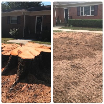 Tall Stumps to be Removed - Do you have a Tall stump that need to be grinded down ? Call for details!!!