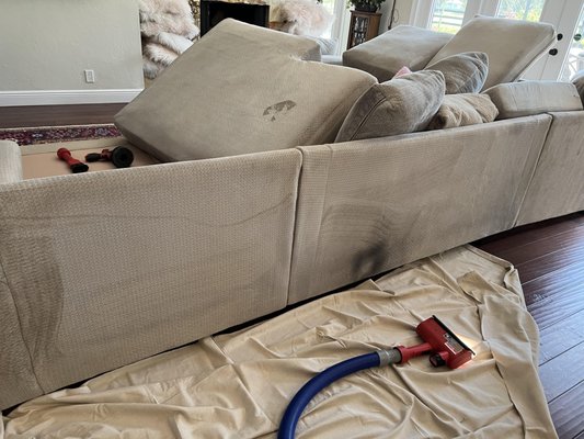 Upholstery Cleaning - This client had a large unsightly stain on the back of their couch. They called Foaming the Suncoast to remove the stains and restore it back to it's original condition. Upholstery Cleaning - This client had a large unsightly stain on the back of their couch. They called Foaming the Suncoast to remove the stains and restore it back to it's original condition.