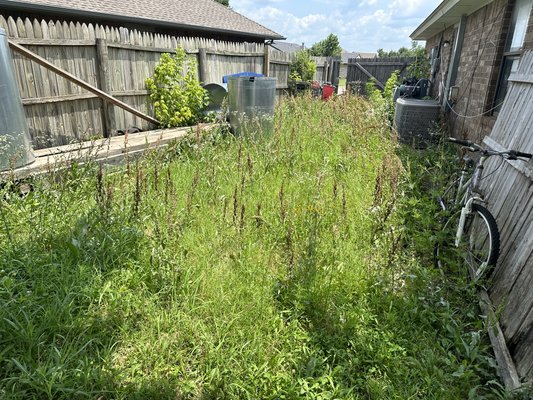 1st Big Job - This is my first big job of a fairly overgrown yard!
