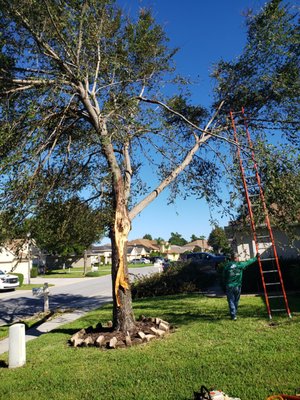 Hurricane Ian EMERGENCY TREE Debris clean up. - We are to assist in all of your tree care needs. Fully equipped and insured owned and operated by an ISA Certified Arborist FL-9444A. Hurricane Ian EMERGENCY TREE Debris clean up. - We are to assist in all of your tree care needs. Fully equipped and insured owned and operated by an ISA Certified Arborist FL-9444A.