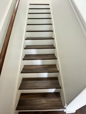 Stairs with Risers 2023 - Replaced flooring on stairs and hallway Stairs with Risers 2023 - Replaced flooring on stairs and hallway
