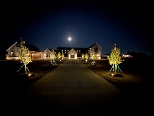 Lighting a beautiful home in Lucas Tx. - Extended Outdoor Living
With proper lighting, your yard becomes usable long after the sun goes down. Patios, decks, pergolas, and outdoor kitchens become inviting spaces for:
Entertaining guests
Family dinners
Relaxing evenings
Seasonal gatherings
Lighting transforms outdoor areas into functional living space rather than just daytime scenery.