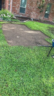 Sod Installation - Professional Sod Installation
At Viper Land Design, we provide expert sod installation designed to transform your lawn quickly and effectively. Our process begins with the complete removal of existing grass and weeds to ensure a clean foundation. We then carefully level and grade all areas for a smooth, even appearance before adding nutrient-rich soil to promote healthy root growth. To protect your investment, we also inspect and repair any damaged sprinkler heads or lines so your new sod receives the water it needs to thrive. With our attention to detail and commitment to quality, you’ll enjoy a lush, green lawn that enhances your home’s curb appeal. Sod Installation - Professional Sod Installation
At Viper Land Design, we provide expert sod installation designed to transform your lawn quickly and effectively. Our process begins with the complete removal of existing grass and weeds to ensure a clean foundation. We then carefully level and grade all areas for a smooth, even appearance before adding nutrient-rich soil to promote healthy root growth. To protect your investment, we also inspect and repair any damaged sprinkler heads or lines so your new sod receives the water it needs to thrive. With our attention to detail and commitment to quality, you’ll enjoy a lush, green lawn that enhances your home’s curb appeal.