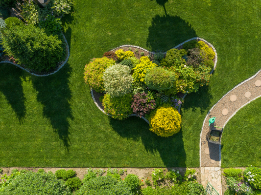Landscape Maintenance & Yard Cleanup - At AMS Landscaping, we provide dependable Landscape Maintenance services with flexible scheduling—offering weekly, bi-weekly, or every four-week visits to fit your needs. During each service, we trim a section of your plants and trees (up to 8 feet high), rotating through 4–6 sections of your yard over time to ensure balanced and consistent care. We also mow and edge all turf areas, blow the property for leaves and debris, spot spray for weeds, clean off sidewalks, and check or adjust your sprinkler system to keep everything running smoothly.

If you need less frequent service, our one-time Yard Cleanups are a perfect solution. These visits include trimming all plants and trees (up to 8 feet) in one go, followed by a thorough cleanup of leaves, debris, turf, and walkways. It's ideal for seasonal overhauls, listing preparations, or post-storm recovery. For a detailed list of our services or to schedule your yard care, give us a call at (602) 559-9790.