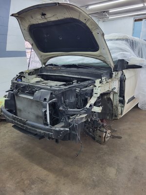 Deer Strike 2013 Kia Soul - 2013 Kia Soul struck a deer resulting in approximately $3,600.00 in damages. Here are the before and after shots. Deer Strike 2013 Kia Soul - 2013 Kia Soul struck a deer resulting in approximately $3,600.00 in damages. Here are the before and after shots.