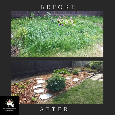 Garden Maintenance -  Before and After - Garden Maintenance includes - Maintaining the developing gardens of clients; both residential and commercial.
• Control weeds, deadhead annuals and perennials and maintain a general tidiness to
the gardens. Planting new trees, flowers and various plants.
• Design, plant and maintain client container planters.
• Add, remove or transplant perennials at appropriate times.
• Pruning shrubs and trees (less than 2 m) for form or function.
• Fertilize and add soil amendments (compost/mulch)  when needed and requested by clients.
• Clearing rubbish and litter away from the garden and grounds. 

The Wheelbarrow Gardener offers weekly, bi-weekly, monthly and "as needed" service that is provided by a dedicated garden specialist to your property. You will have your own personal gardener that you will have direct contact with throughout the season.