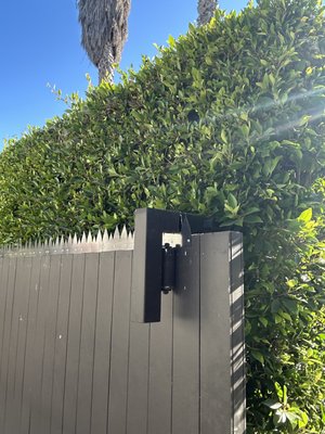 Gate Repair & Security Spike Installation - We repaired and adjusted the exterior gate to correct opening and closing issues and restore smooth operation. After aligning the gate and checking the hinge area, we installed anti-climb security spikes along the top for additional protection and security. The finished gate operates properly and has improved resistance against unauthorized access. Gate Repair & Security Spike Installation - We repaired and adjusted the exterior gate to correct opening and closing issues and restore smooth operation. After aligning the gate and checking the hinge area, we installed anti-climb security spikes along the top for additional protection and security. The finished gate operates properly and has improved resistance against unauthorized access.