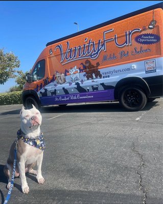 Accepting new appointments now - We offer automated schedule so you don’t have to struggle to get appointments each and every time. Our custom vehicles have ramps to accommodate the largest, most senior dog, climate controlled, hot freshwater, video cameras to ensure safety and experience, professional groomers taught the Vanity Fur Way we focus on safety and comfort points throughout the entire Groom we have been in business for 15 years Accepting new appointments now - We offer automated schedule so you don’t have to struggle to get appointments each and every time. Our custom vehicles have ramps to accommodate the largest, most senior dog, climate controlled, hot freshwater, video cameras to ensure safety and experience, professional groomers taught the Vanity Fur Way we focus on safety and comfort points throughout the entire Groom we have been in business for 15 years