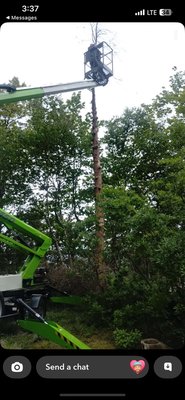 Tree trimming - This is what we love! Give us a call for professional tree trimming!