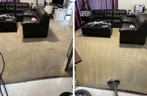 Carpet cleaning - Professional cleaning Carpet cleaning - Professional cleaning