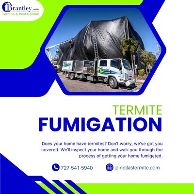 Termite Fumigation - Does your home have termites? Don’t worry, we’ve got you covered. We’ll inspect your home and walk you through the process of getting your home fumigated.