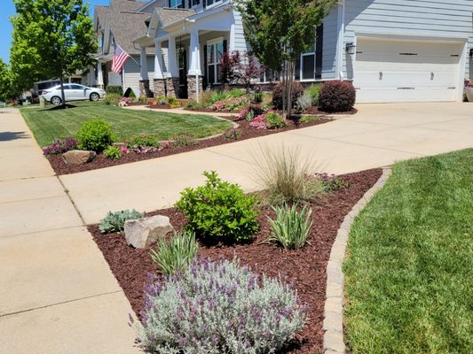 Landscape Design 1 year after installation. - This design was created to add curb appeal and provide a flower bed where the plants installed all co-exist as a whole and require little maintenance.