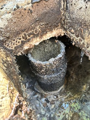 Elkins AR - Another Septic Tank Saved with Routine Maintenance in Elkins,
This homeowner in Elkins, AR recently experienced a blockage that he was able to clear himself. After seeing just how much debris had accumulated in his septic tank, he decided it was time to have it professionally pumped.
The last recorded pumping for this tank installed in 1997? Never.
After nearly three decades, there was a significant buildup of sludge and scum inside the tank. Using our crust buster agitator, we thoroughly mixed the heavy solids so they could be completely removed during pumping, helping restore the tank to proper operating condition.
While the homeowner avoided a major emergency this time, this is a great reminder that waiting until there's a problem can lead to costly repairs or backups into your home. Most residential septic tanks should be pumped every 3–5 years, depending on household size and usage.
If it's been several years since your last service—or you can't remember when it was last pumped—we're here to help.
📍 Advanced Septic proudly provides septic tank pumping, septic inspections, and septic maintenance in Elkins, AR, and throughout Northwest Arkansas.
#SepticPumping #ElkinsAR #SepticMaintenance #SepticTankPumping #AdvancedSeptic #NorthwestArkansas Elkins AR - Another Septic Tank Saved with Routine Maintenance in Elkins,
This homeowner in Elkins, AR recently experienced a blockage that he was able to clear himself. After seeing just how much debris had accumulated in his septic tank, he decided it was time to have it professionally pumped.
The last recorded pumping for this tank installed in 1997? Never.
After nearly three decades, there was a significant buildup of sludge and scum inside the tank. Using our crust buster agitator, we thoroughly mixed the heavy solids so they could be completely removed during pumping, helping restore the tank to proper operating condition.
While the homeowner avoided a major emergency this time, this is a great reminder that waiting until there's a problem can lead to costly repairs or backups into your home. Most residential septic tanks should be pumped every 3–5 years, depending on household size and usage.
If it's been several years since your last service—or you can't remember when it was last pumped—we're here to help.
📍 Advanced Septic proudly provides septic tank pumping, septic inspections, and septic maintenance in Elkins, AR, and throughout Northwest Arkansas.
#SepticPumping #ElkinsAR #SepticMaintenance #SepticTankPumping #AdvancedSeptic #NorthwestArkansas