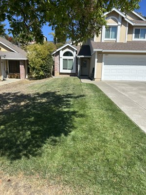 Lawn Fertilizing & Treatment - color, repair patchy areas, and improve overall lawn health. Results show a greener and fuller yard.