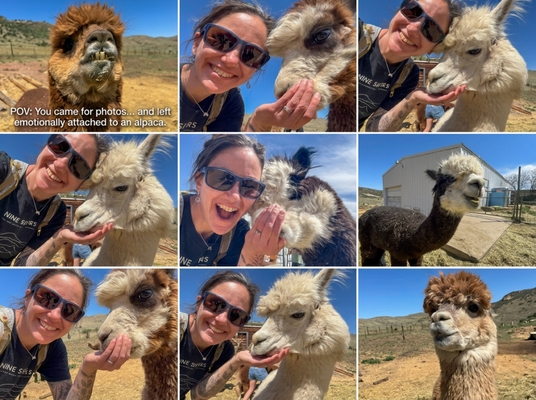 Smooth Alpaca Experience Photo Like Booth - POV: You came for photos… and left emotionally attached to an alpaca. 🦙
Nobody warns you that Smooth Alpacas have this much personality. Smooth Alpaca Experience Photo Like Booth - POV: You came for photos… and left emotionally attached to an alpaca. 🦙
Nobody warns you that Smooth Alpacas have this much personality.