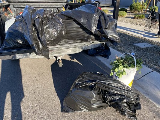 Big Weed takeover - Whilst visiting a customer to provide a turf cleaning estimate, we noticed their lawn was out of control. So, we offered to handle that as well. Turf Job TO BE CONTINUED>.. Big Weed takeover - Whilst visiting a customer to provide a turf cleaning estimate, we noticed their lawn was out of control. So, we offered to handle that as well. Turf Job TO BE CONTINUED>..