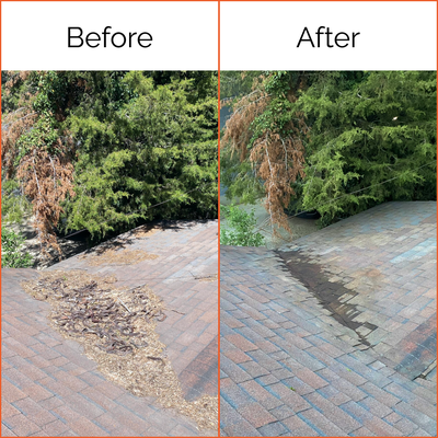 Roof, Gutter & Panel Cleanings - Does your roof, gutters or solar panels need a little love? How are those gutters looking post winter/spring season? Give me a call or shoot me a text today to get your FREE estimate. Roof, Gutter & Panel Cleanings - Does your roof, gutters or solar panels need a little love? How are those gutters looking post winter/spring season? Give me a call or shoot me a text today to get your FREE estimate.