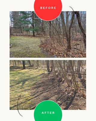 March 2025 Spring Clean Ups - This a portfolio of before and after pictures from our Spring clean up Leaf rwmoval jobs in March 2025 March 2025 Spring Clean Ups - This a portfolio of before and after pictures from our Spring clean up Leaf rwmoval jobs in March 2025