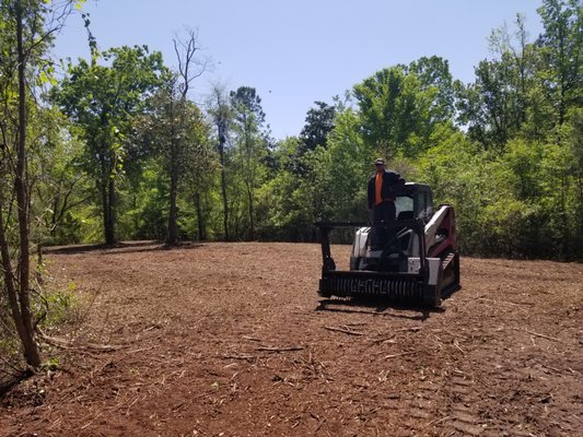 Forestry Mulching - This parcel of land was cleared of surface vegetation to allow the septic inspector to permit the land and begin construction of the home site.