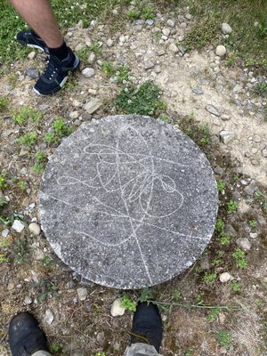 Concrete Cleaning Services - Concrete cleaning services remove stains and organics from your concrete!