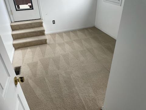 Carpet Cleaning Before and After photos - the first 3 photos are before and the other three are after Carpet Cleaning Before and After photos - the first 3 photos are before and the other three are after