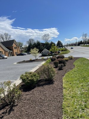 Trimmed , mulch , edging and cleanup job - Project was done this year. New mulch , edge , trimmed. Weed killer treatment and new plants added. Trimmed , mulch , edging and cleanup job - Project was done this year. New mulch , edge , trimmed. Weed killer treatment and new plants added.