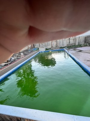 Green to Clean - Brought this pool back to life Green to Clean - Brought this pool back to life
