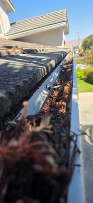 gutter cleaning - we got a call to clean the homeowners panels, but while we were there he asked us to check his gutters, your gutters need to be addressed before the rain season sir, but no need to worry, we are already here we will take care of your issue gutter cleaning - we got a call to clean the homeowners panels, but while we were there he asked us to check his gutters, your gutters need to be addressed before the rain season sir, but no need to worry, we are already here we will take care of your issue