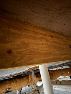 Floor joist repair - Two floor joist repairs. Both were damaged from old work and had caused floor sag. Floor joist repair - Two floor joist repairs. Both were damaged from old work and had caused floor sag.