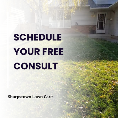 Lawn Trimming | March 2024 - Lawn Trimming Experts | Houston, TX Lawn Trimming | March 2024 - Lawn Trimming Experts | Houston, TX