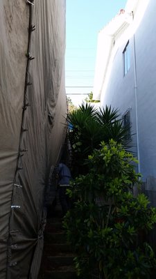 Concerned about your plants surrounding your home? So are we! - Our dedicated team strives to minimize the impact of surrounding plants and vegetation around your home. In most cases, we successfully manage to exclude them, but depending on how densely and how much greenery is growing nearby, some may still need to be exposed to the fumigant beneath the tarp. 

Please reach out to us before your fumigation so we can have an open conversation about your landscaping and the fumigation process.