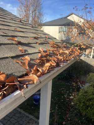 Gutter cleaning/Downspout Flush - Cleared out all gutters and flushed every downspout today to make sure the whole system is flowing perfectly. Removed debris, checked for clogs, and made sure water is draining away from the home like it should. If your gutters need a reset before the winter storms hit, I’ve got you covered! Gutter cleaning/Downspout Flush - Cleared out all gutters and flushed every downspout today to make sure the whole system is flowing perfectly. Removed debris, checked for clogs, and made sure water is draining away from the home like it should. If your gutters need a reset before the winter storms hit, I’ve got you covered!