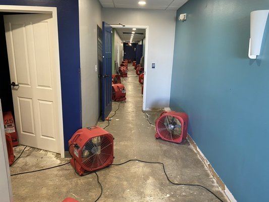 Advocacy Center freeze loss - This was a major 18,000 sqft flood from the freezes in February. Lot to do, lot to dry. We made this project better than it was before and helped serve an organization that provides a major support to our community. We helped them get what they deserved from their insurance as well. Advocacy Center freeze loss - This was a major 18,000 sqft flood from the freezes in February. Lot to do, lot to dry. We made this project better than it was before and helped serve an organization that provides a major support to our community. We helped them get what they deserved from their insurance as well.
