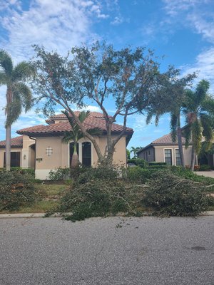 clean ups - Clean Ups clean ups - Clean Ups
