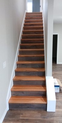 Stained and Verathaned Stair Treads - These were in a new construction home. All wood was raw when installed. I stained and used verathane on the treads, then when those dried in, I masked them in and painted or stained the rising trim on either side of the staircase.