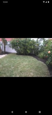 yard clean up - Take that easy overgrown yard back. yard clean up - Take that easy overgrown yard back.