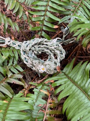 Standard ceremony add-on options - Add special elements to the Standard ceremony for an additional fee. You could iInclude a: Hand-fasting, a Family Blending ceremony a sand ceremony, a unity knot, a tree planting or any other special element to complete your wishes.