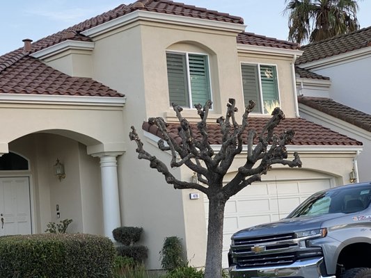 Concrete S Tile Roof Installation Morgan Hill - Concrete S Tile Roof Installation Tera Cotta Concrete S Tile Roof Installation Morgan Hill - Concrete S Tile Roof Installation Tera Cotta