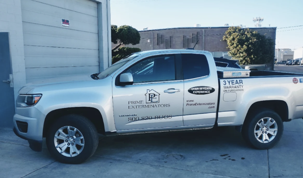 Rodent Control - Contact Prime Exterminators for all your mice and rat control needs!